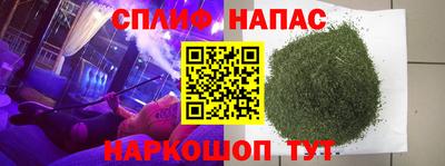 шишки Кинель